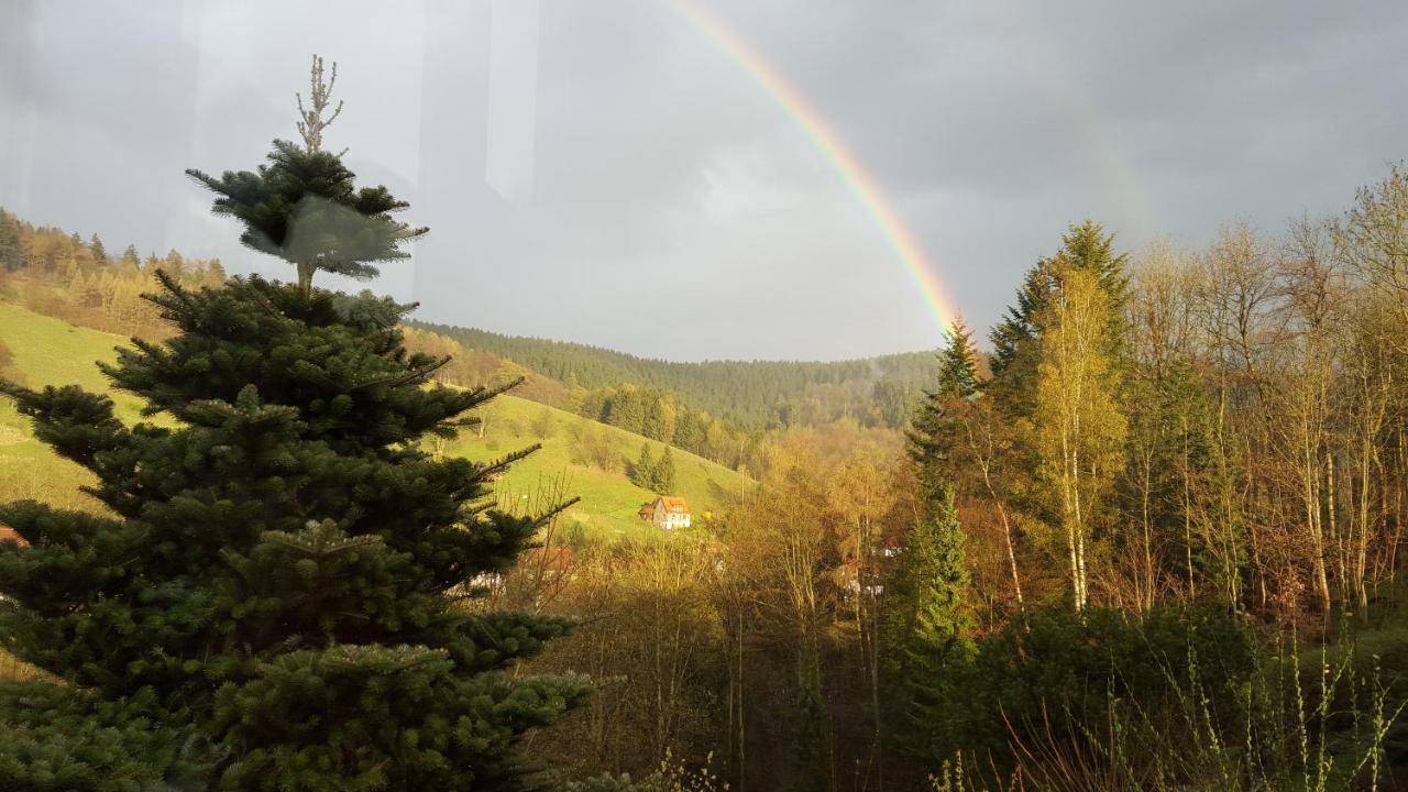 Fewo Bergblick Osterode am Harz Luaran gambar